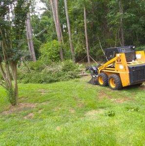 Lonnie And Jimmys Tree Removal And Sod Installation (10)