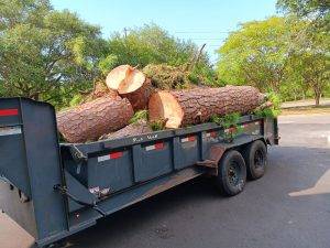 Lonnie And Jimmys Tree Removal And Sod Installation (13)