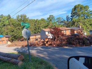 Lonnie And Jimmys Tree Removal And Sod Installation (16)