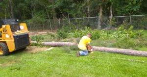 Lonnie And Jimmys Tree Removal And Sod Installation (17)