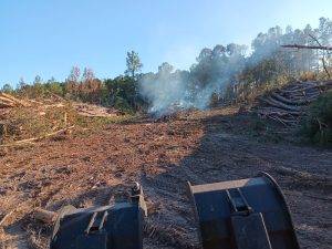 Lonnie And Jimmys Tree Removal And Sod Installation (22)