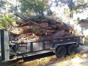 Lonnie And Jimmys Tree Removal And Sod Installation (4)