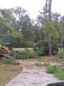 Lonnie And Jimmys Tree Removal And Sod Installation (6)