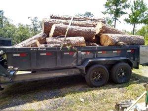 Lonnie And Jimmys Tree Removal And Sod Installation (8)
