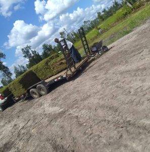 Lonnie And Jimmys Tree Removal And Sod Installation (9)